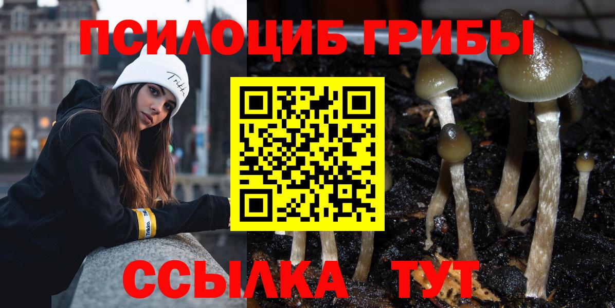 Галлюциногенные грибы GOLDEN TEACHER  Вход с VPN  Нальчик 