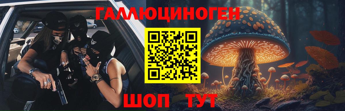 Галлюциногенные грибы Cubensis Нальчик
